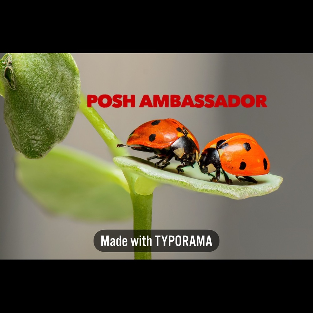 Meet your Posh Ambassador, Tracey